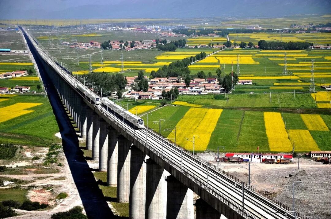 Image_20260107100536.jpg Image_20260107100536.jpg