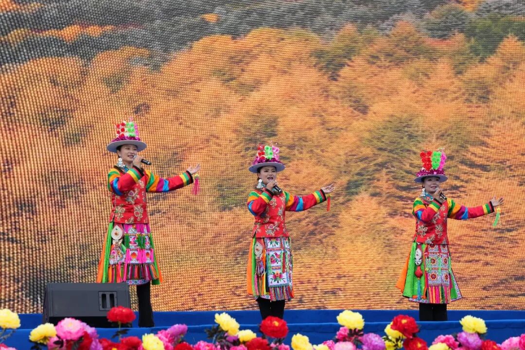 Image_20260107100605.jpg Image_20260107100605.jpg