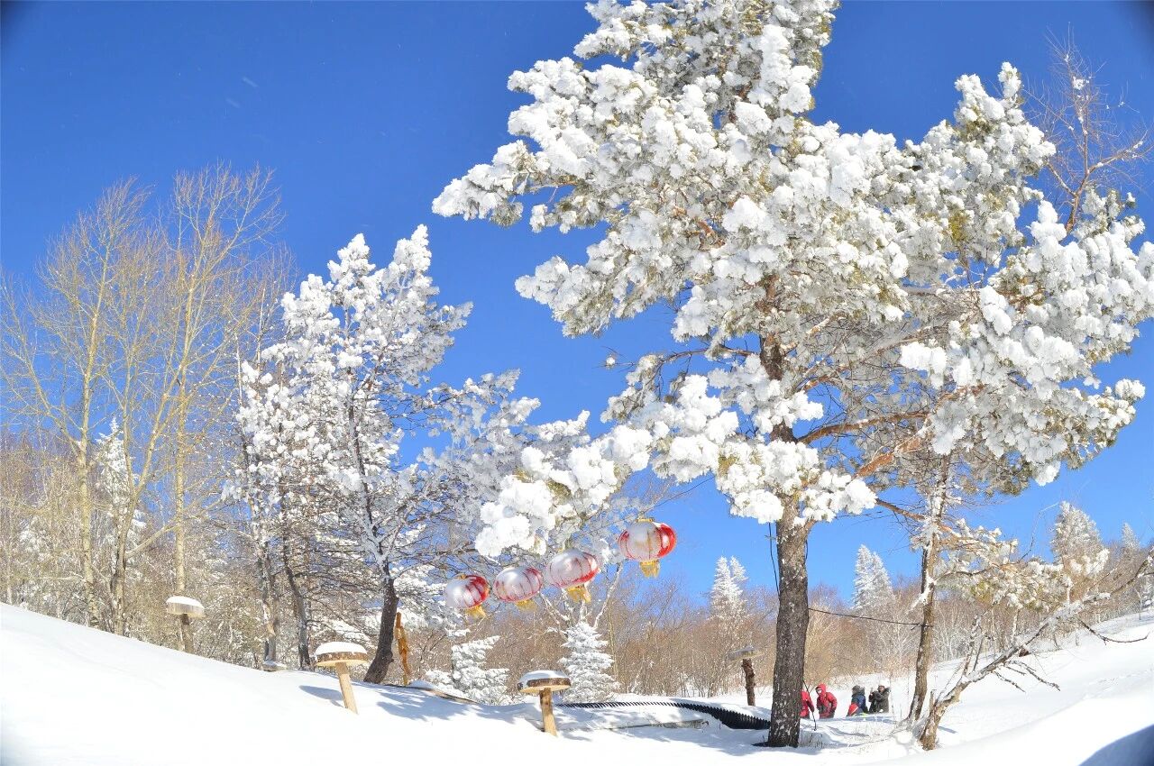 Image_20260205102909.jpg Image_20260205102909.jpg