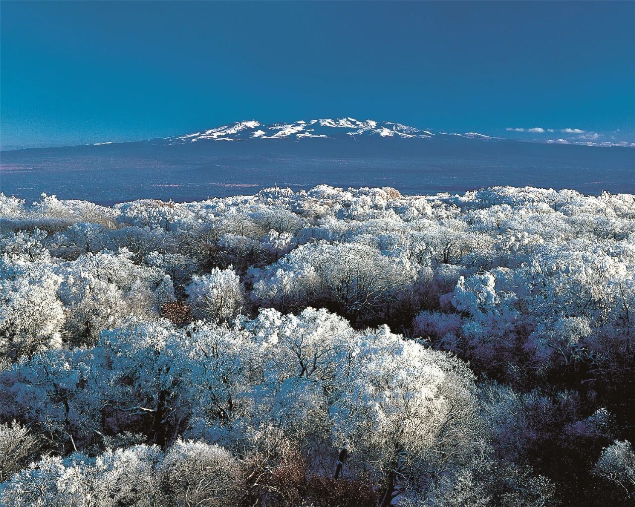 Image_20260205102912.jpg Image_20260205102912.jpg