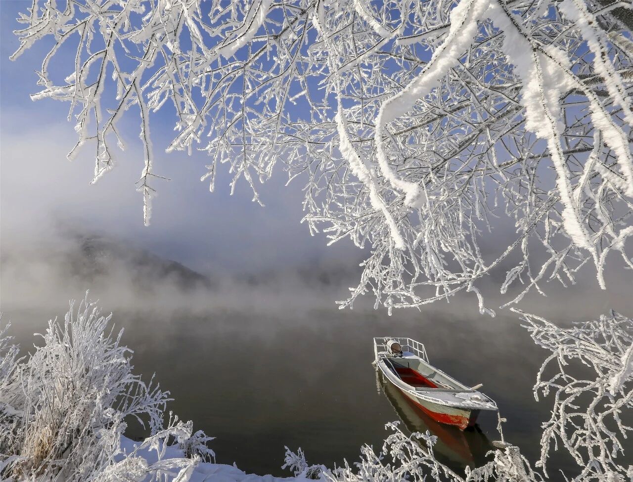 Image_20260205102927.jpg Image_20260205102927.jpg