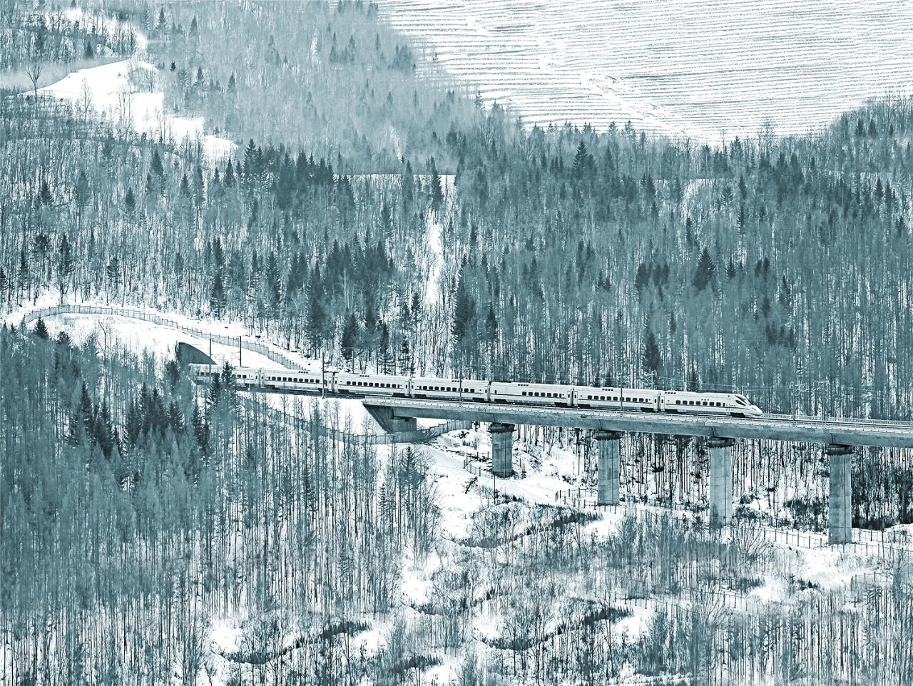 Image_20260205102929.jpg Image_20260205102929.jpg