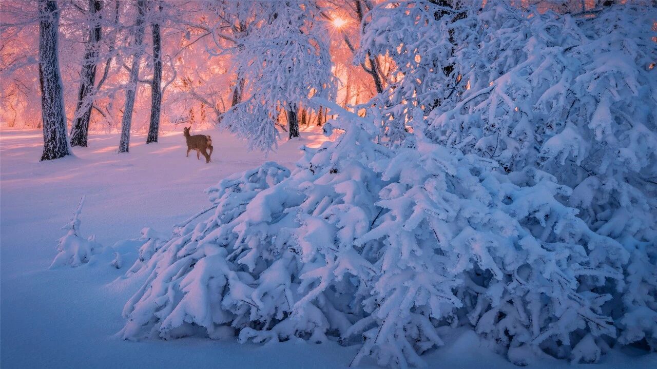 Image_20260205102940.jpg Image_20260205102940.jpg