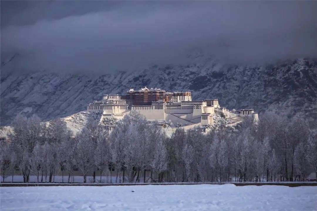 WeChat Image_20220630143451.jpg