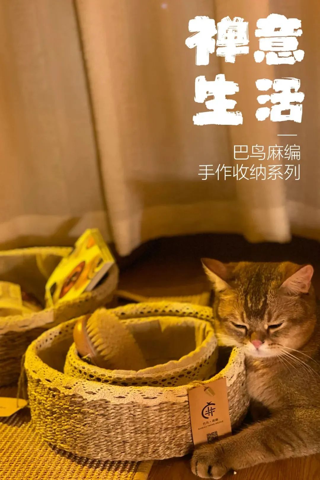 WeChat Image_20220630143505.jpg