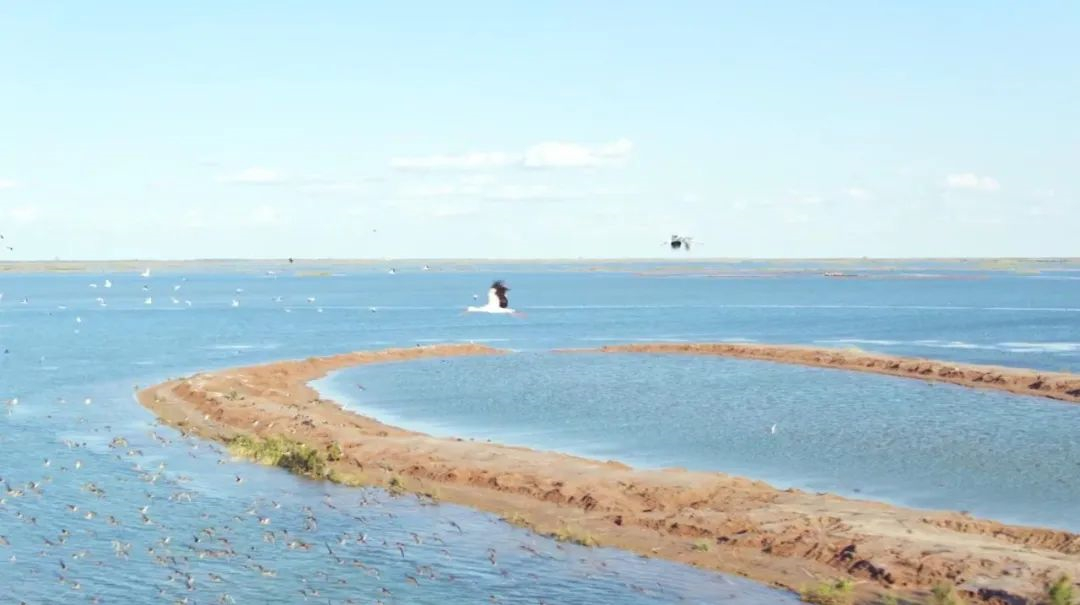 WeChat Image_20220914163600.jpg