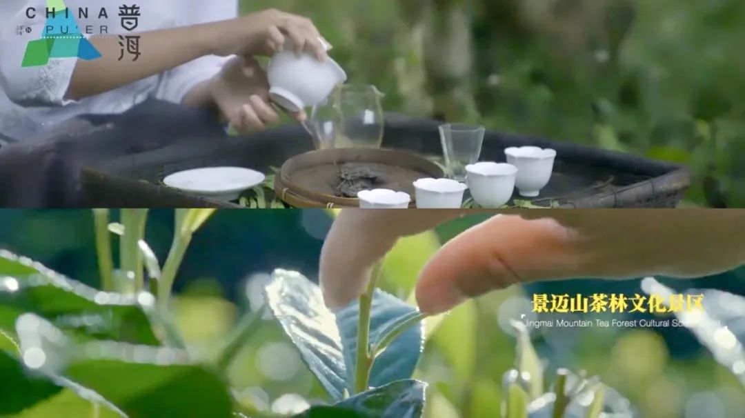 WeChat Image_20220926104532.jpg WeChat Image_20220926104532.jpg