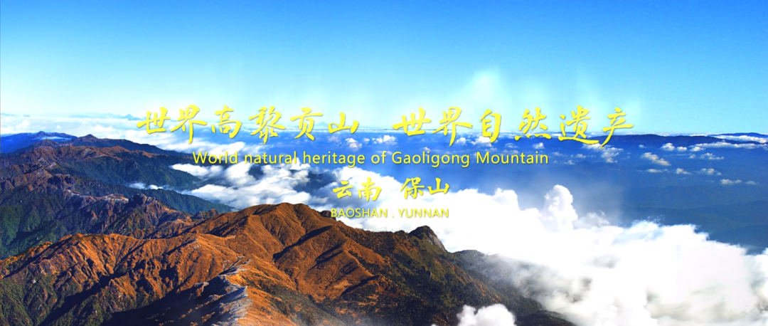 WeChat Image_20221024113153.png
